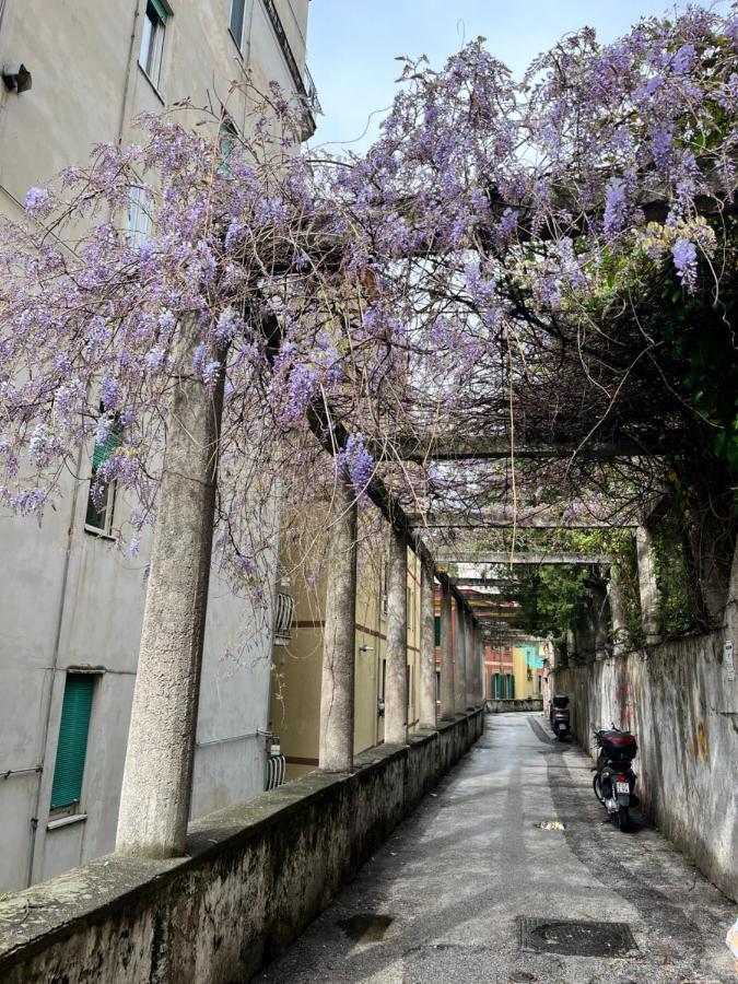 Apartament The Secret Garden Salerno Zewnętrze zdjęcie